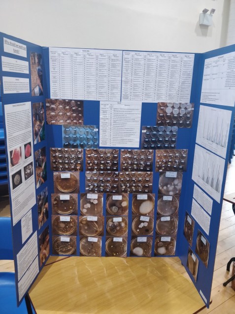 science fair 1