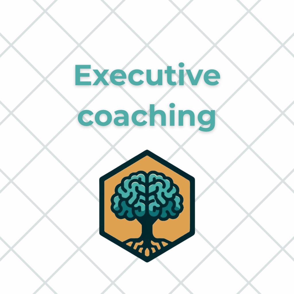 Executive coaching for school senior and middle leaders